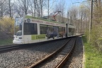 PSB 307 MGTK Wald