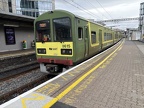 DART 8515 Tara