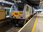 IE Wg 9002 Conn
