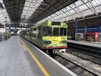 DART 8139b Pear