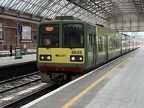 DART 8535 Pear