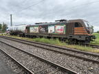 HSL E 187537d Kork