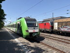 DB 422009 Hild