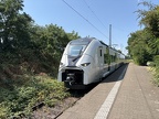 REGIO 2564002b Hild