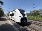 REGIO 2564003 Hild