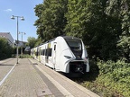 REGIO 2564002d Grün