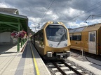 NOVOG ET 03e Mzell