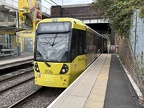 Man 3135 Queen