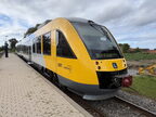 LT VT LB218 Grae
