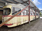 Skjold 2401 RBG Tag