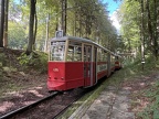 Skjold Wg 4384c Bron