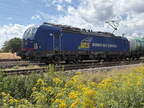 WRS Re475901c bKork