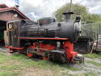 MPZ D 15 CKD Mus