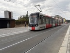 DPP 9520 52T NZer