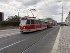 DPP 8287b T3RPLF NZer
