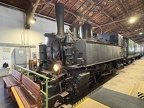 TMW 92-2231b Mus-SW