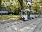 STIB 7903 Mad