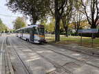 STIB 7903b Mad