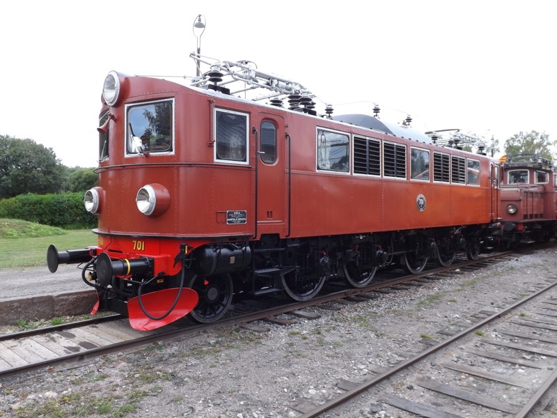 SKAJ_E_SJ_F-701_Mus-Gaevle.jpeg