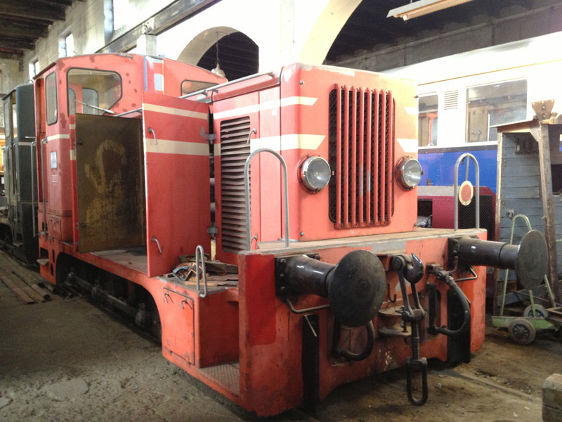VEF_V_SGP-18118_or_Mus-Schwech.jpg