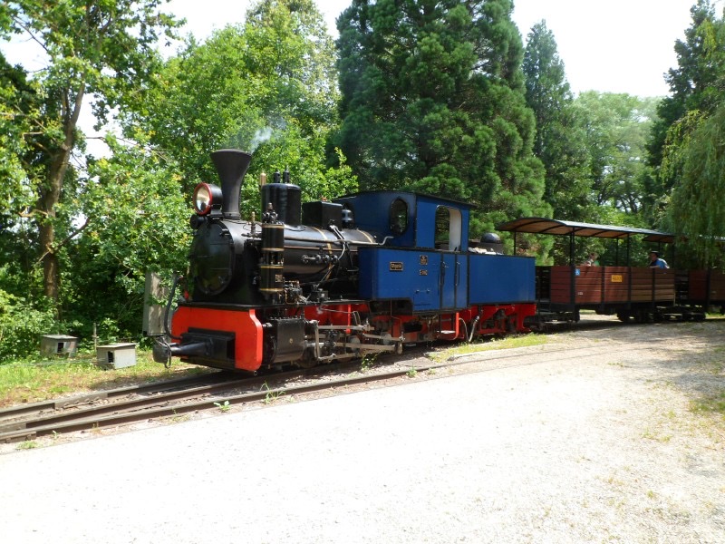 SchBB_D_Sequoia_Cn2_bl_See.jpg