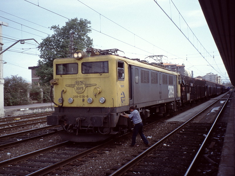 289-036-6
CAF, *1972 • Serie 289 • Bo-Bo • 1668 mm • 1500 V DC / 3000 V DC
Irun RENFE_E_289036_Irun.jpg