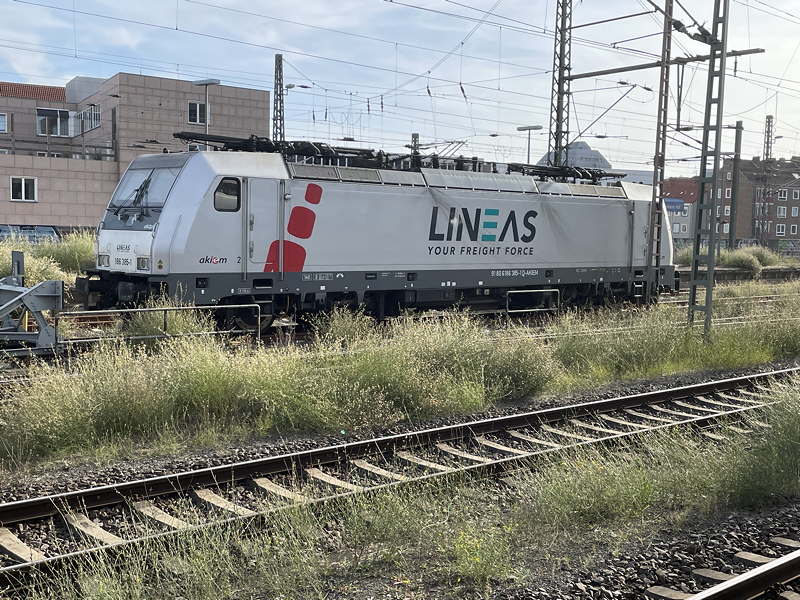 AKIEM_E_186-385b_LINEAS_H-Hbf.JPG