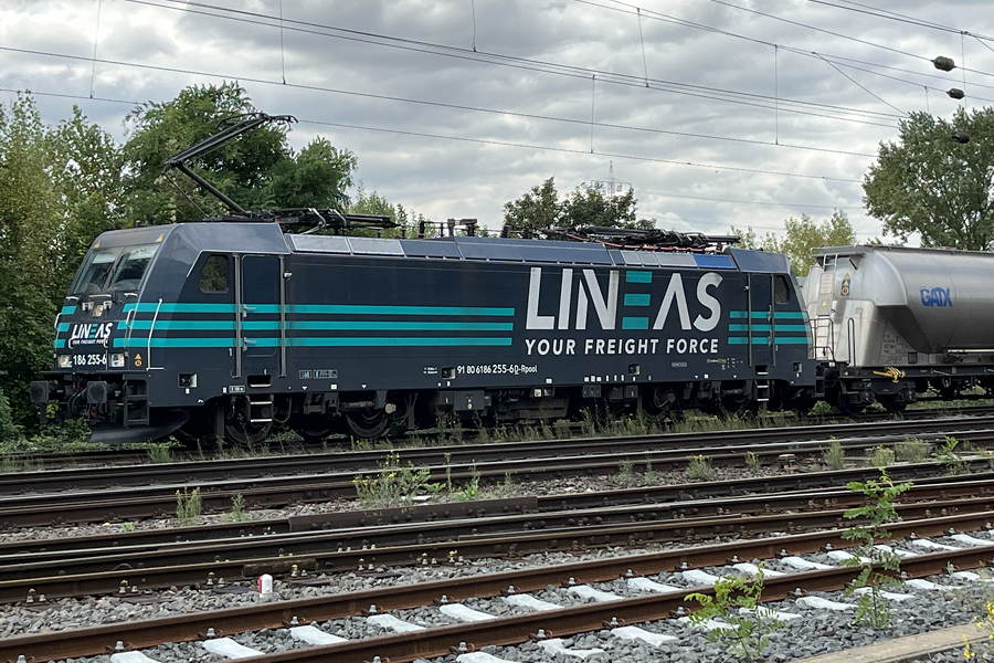 LINEAS_E_186255_LinzRh.JPG