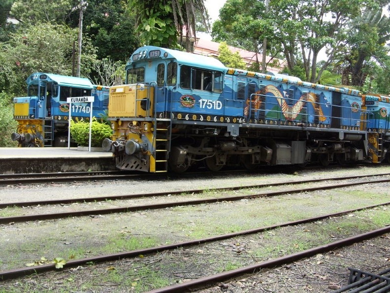 KSR_V_1751D_Kuranda3.jpg