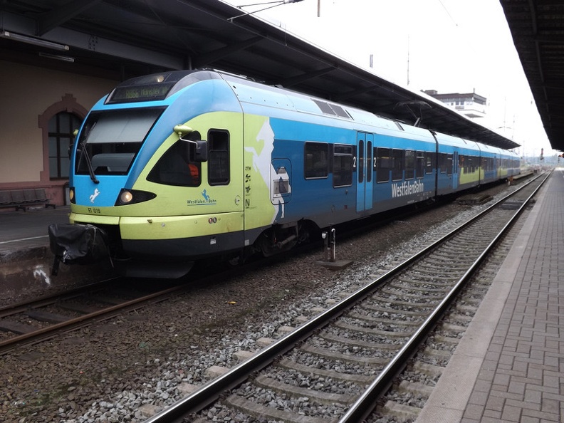 WFB_ET5_ET019_OS-Hbf2.jpeg